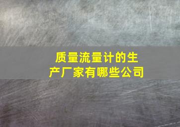 质量流量计的生产厂家有哪些公司