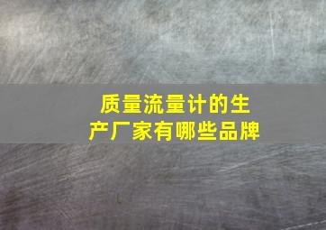 质量流量计的生产厂家有哪些品牌