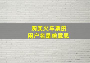 购买火车票的用户名是啥意思