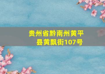 贵州省黔南州黄平县黄飘街107号