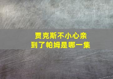 贾克斯不小心亲到了帕姆是哪一集