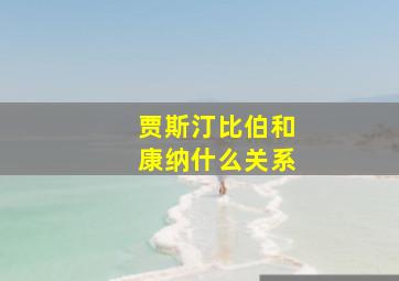 贾斯汀比伯和康纳什么关系