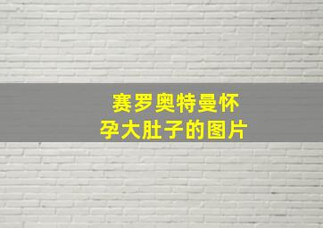 赛罗奥特曼怀孕大肚子的图片