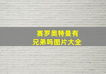 赛罗奥特曼有兄弟吗图片大全