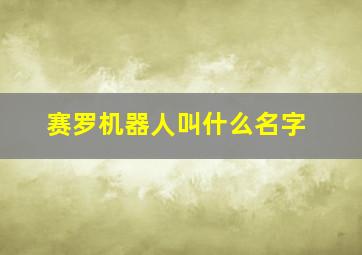 赛罗机器人叫什么名字