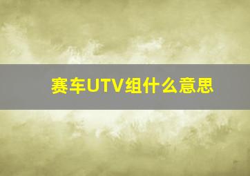 赛车UTV组什么意思