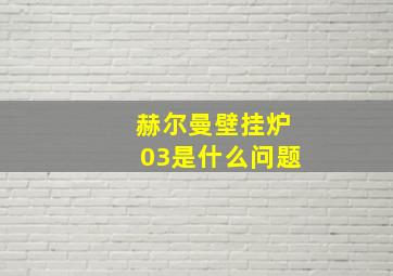 赫尔曼壁挂炉03是什么问题