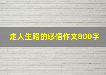 走人生路的感悟作文800字