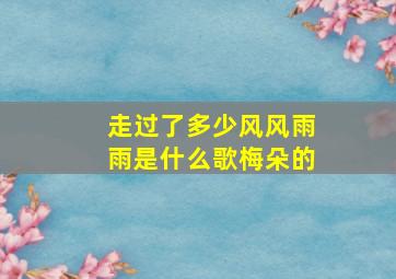 走过了多少风风雨雨是什么歌梅朵的