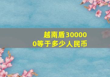 越南盾300000等于多少人民币