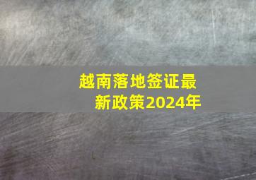 越南落地签证最新政策2024年