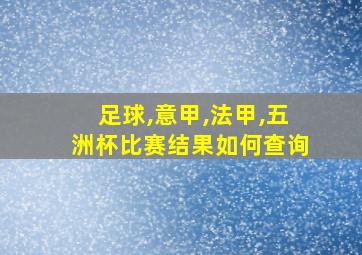 足球,意甲,法甲,五洲杯比赛结果如何查询