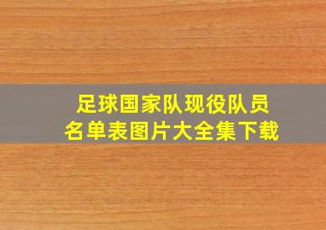 足球国家队现役队员名单表图片大全集下载