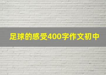 足球的感受400字作文初中