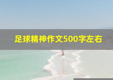 足球精神作文500字左右