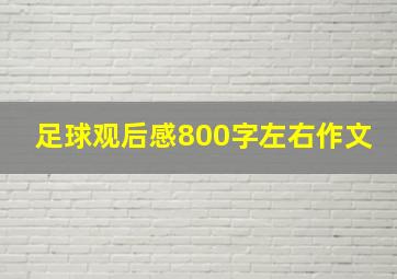 足球观后感800字左右作文