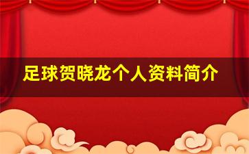 足球贺晓龙个人资料简介