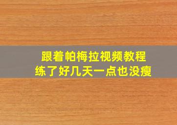 跟着帕梅拉视频教程练了好几天一点也没瘦