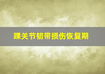 踝关节韧带损伤恢复期