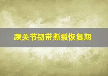 踝关节韧带撕裂恢复期