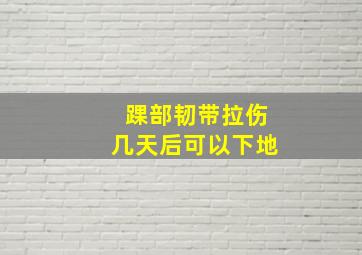 踝部韧带拉伤几天后可以下地