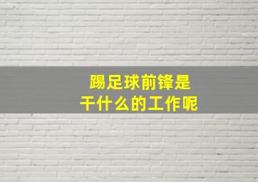 踢足球前锋是干什么的工作呢