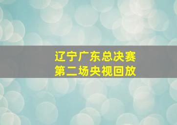 辽宁广东总决赛第二场央视回放