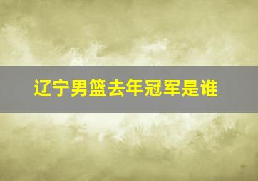 辽宁男篮去年冠军是谁