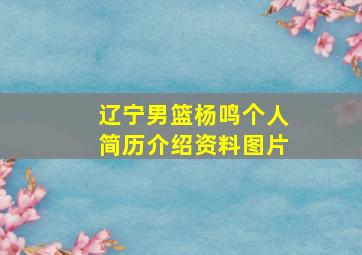 辽宁男篮杨鸣个人简历介绍资料图片