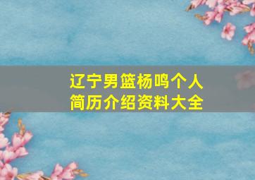 辽宁男篮杨鸣个人简历介绍资料大全