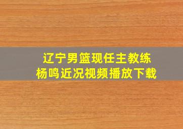 辽宁男篮现任主教练杨鸣近况视频播放下载