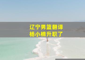 辽宁男篮翻译杨小楠升职了