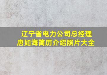 辽宁省电力公司总经理唐如海简历介绍照片大全