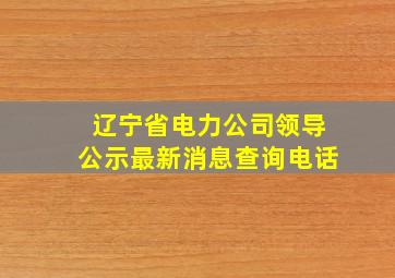 辽宁省电力公司领导公示最新消息查询电话