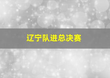 辽宁队进总决赛