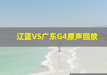 辽篮VS广东G4原声回放