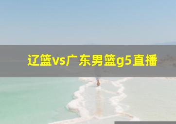 辽篮vs广东男篮g5直播