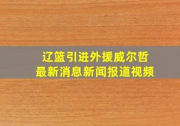 辽篮引进外援威尔哲最新消息新闻报道视频