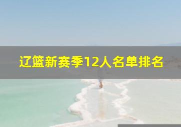 辽篮新赛季12人名单排名