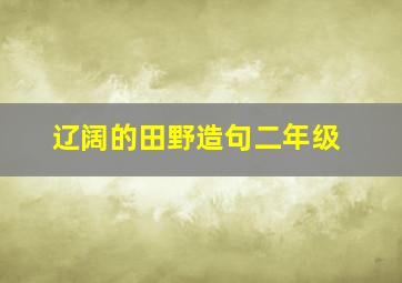 辽阔的田野造句二年级