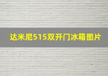 达米尼515双开门冰箱图片