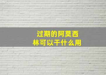 过期的阿莫西林可以干什么用