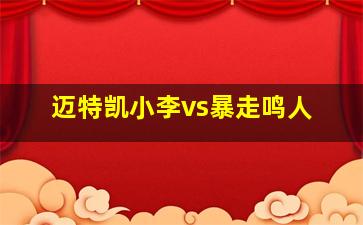 迈特凯小李vs暴走鸣人