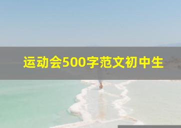 运动会500字范文初中生