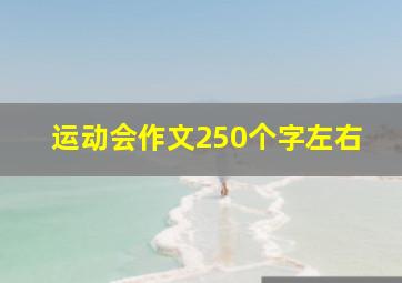 运动会作文250个字左右