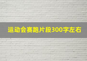 运动会赛跑片段300字左右