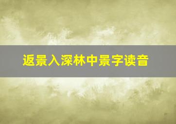 返景入深林中景字读音