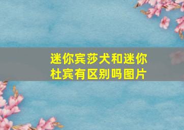 迷你宾莎犬和迷你杜宾有区别吗图片