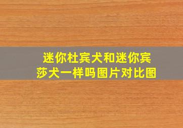 迷你杜宾犬和迷你宾莎犬一样吗图片对比图