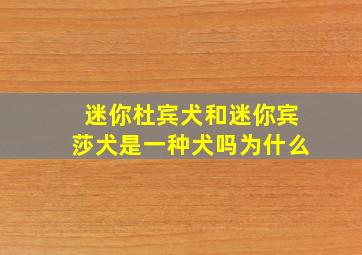 迷你杜宾犬和迷你宾莎犬是一种犬吗为什么